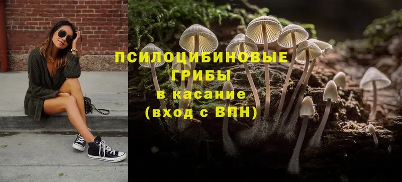 Псилоцибиновые грибы Magic Shrooms  мега   Прохладный  наркота 